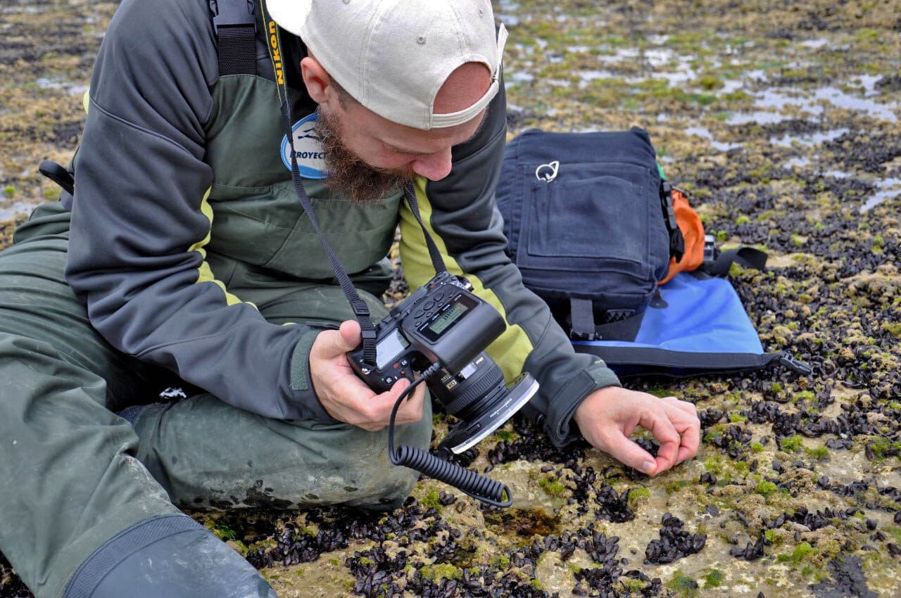Taxonomic survey in the field